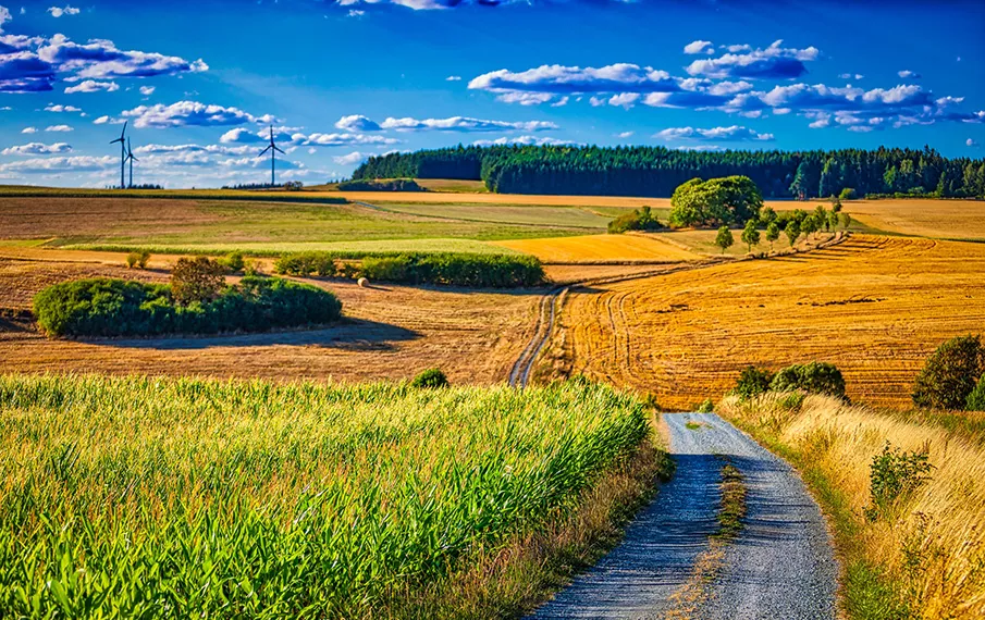 Startseite Projektbild